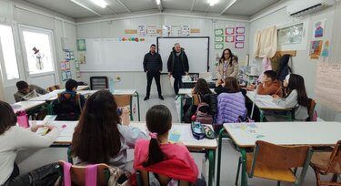 Δήμος Μινώα Πεδιάδας, Αδέσποτα ζώα