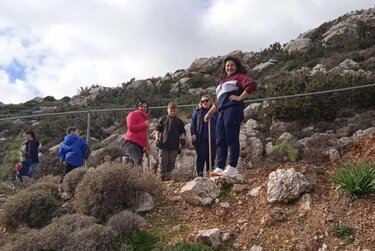 Γέργερη, Δενδροφύτευση