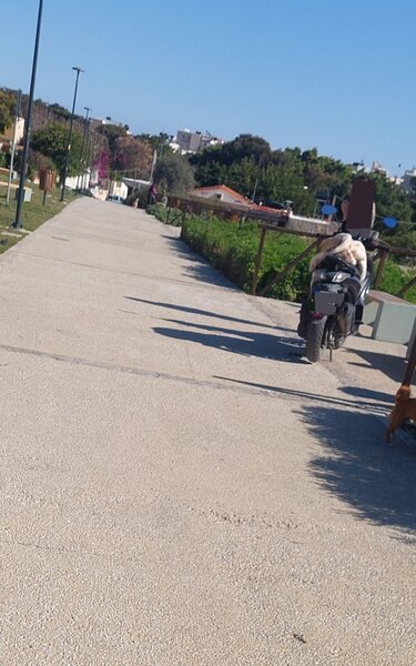 Μαρτινέγκο οχήματα