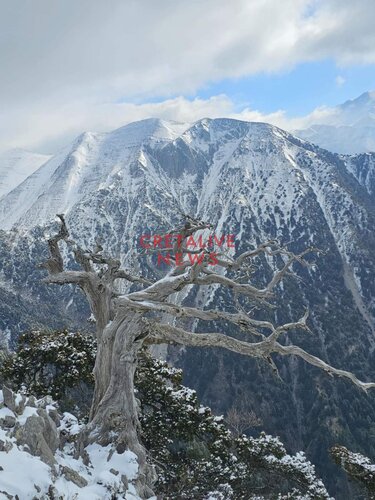 εικόνες Ομαλός