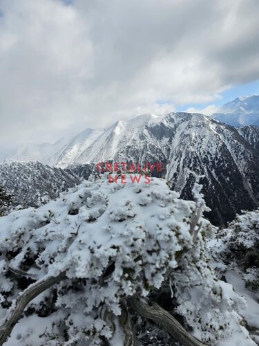 εικόνες Ομαλός
