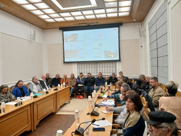 Επιτροπή Αλιείας, Περιφέρεια Κρήτης, Λαγοκέφαλοι