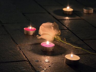 Τέμπη, Λιοντάρια