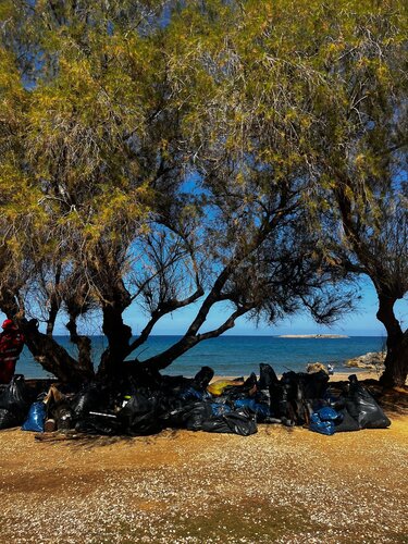 Χανια παραλίες καθαρισμος