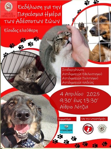 Αδέσποτα, Δήμος Ηρακλείου, Αφίσα 