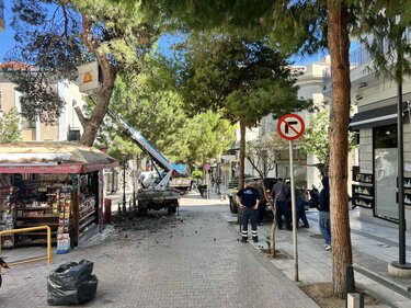 Άγιος Νικόλαος, Πράσινο