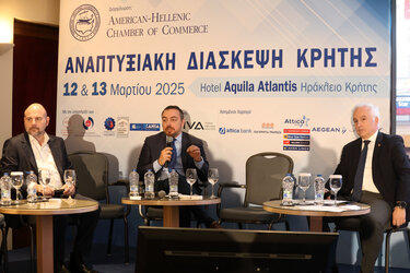 Αναπτυξιακή Διάσκεψη Κρήτης Παρασύρης