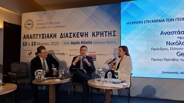 Αναπτυξιακή Διάσκεψη Κρήτης