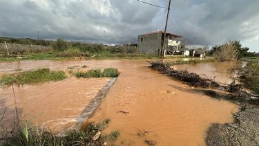 Δήμος Μινώα Πεδιάδας