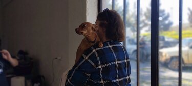 Δήμος Μινώα, ζώα συντροφιάς