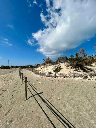 Χρυσή, αυτοψία