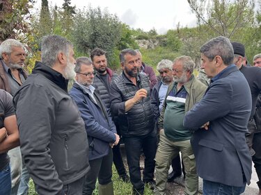 Αυτοψία, Χαλαζόπτωση