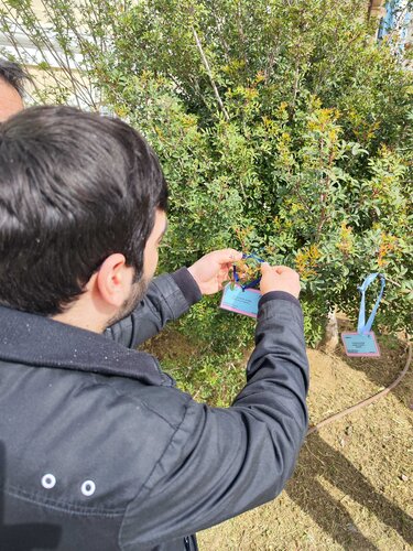 gnorizontas_tin_poli_mou