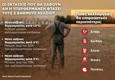 Καλλιέργειες