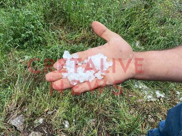 Ζημιές, Χαλάζι, Αμπέλια