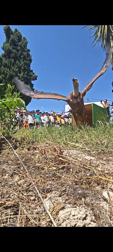 Σχολικό Μουσείο Ρεθύμνου
