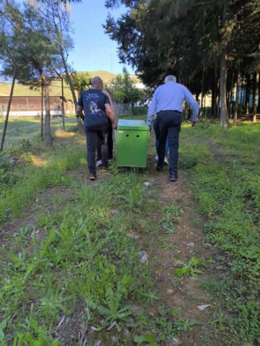 διάσωση σκάρα