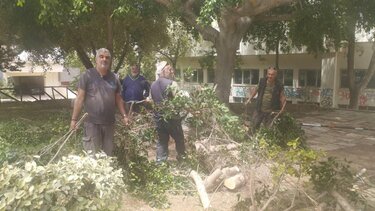 κλαδί Δημοκρατίας