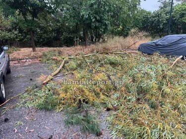  Λαμία: Μπουρίνι έριξε δέντρα, πλημμύρισε σπίτια και άφησε χωρίς ρεύμα τη νότια πλευρά της πόλης