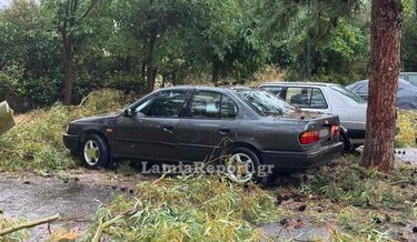  Λαμία: Μπουρίνι έριξε δέντρα, πλημμύρισε σπίτια και άφησε χωρίς ρεύμα τη νότια πλευρά της πόλης