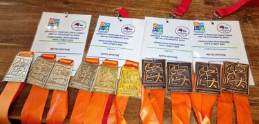 μετάλλια πρωτάθλημα