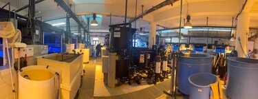 ΕΛΚΕΘΕ, Κέντρο Επίδειξης Υδατοκαλλιέργειας