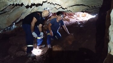 Ισραηλινή αγνοούμενη, έρευνες