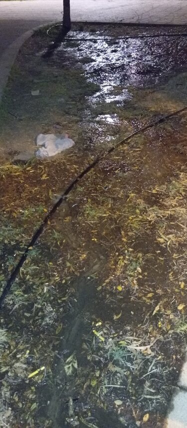 πότισμα-πάρκο