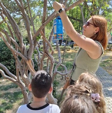 Παιδιά, Ζώα, 17ο Δημοτικό Σχολείο