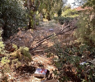 Θεατρικός Σταθμός, Ρομά
