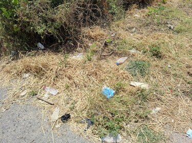 Τρεις Βαγιές