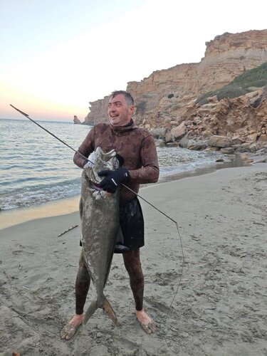 Αντώνης Επιτροπάκης