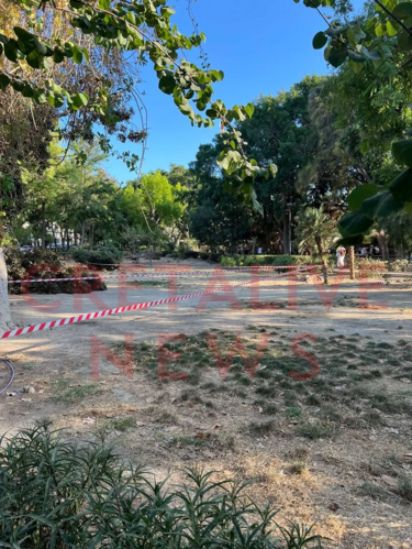 Πάρκο Γεωργιάδη, Δέντρο