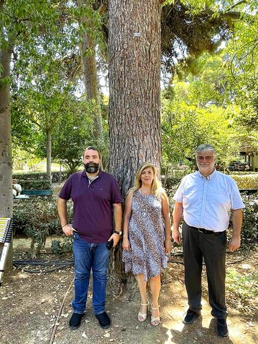 Ρεθυμνο ελμεπα δέντρα