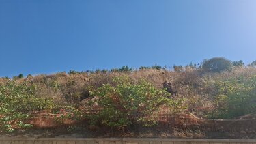 enetika teixi xera xorta.2