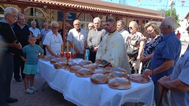Κυπαρίσσι, Καλοκαιρινός