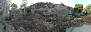 Μαρτινέγκο κλαδιά