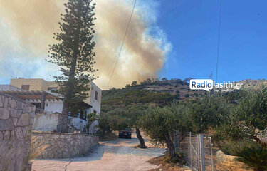 Σχινοκάψαλα 