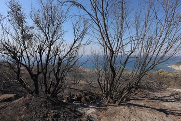 Φωτιά, Ιεράπετρα