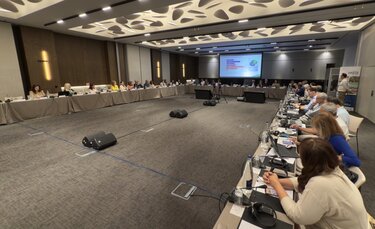 Επιτροπή Παρακολούθησης