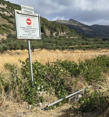 Γιούχτας, Δάσος, Κολόνα