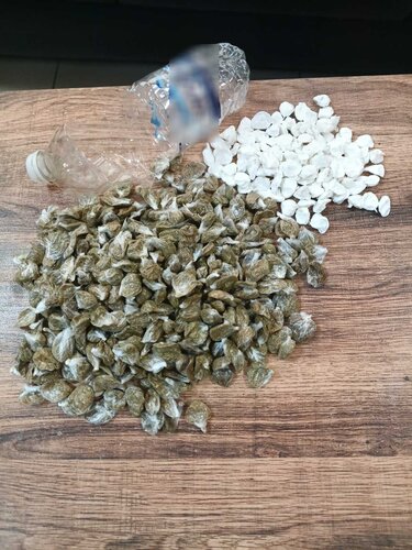 Ναρκωτικά, Φυλακές Χανίων