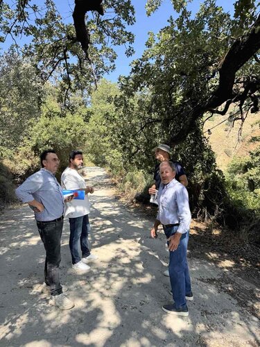 Κεράσια έργα ανάπλασης