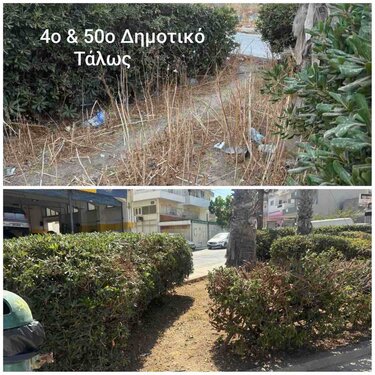 Πράσινο σχολεία Ηρακλειο