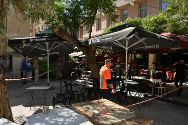 Πτώση δέντρου