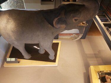 moyseio fysikis istorias