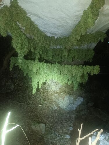 Ηράκλειο κανναβη