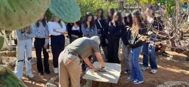 Λυχνοστάτης, δράση 