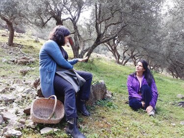 Ντοκιμαντέρ, Χόρτα