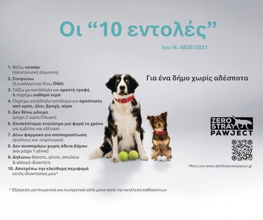 Δήμος Μινώα, Αδέσποτα Ζώα, Στειρώσεις
